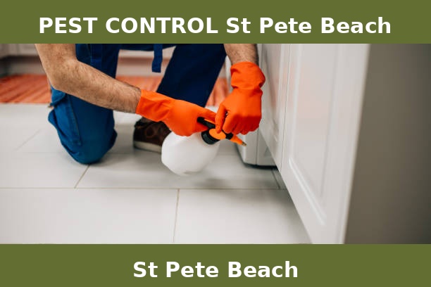 PEST CONTROL St Pete Beach